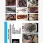 Tattoo Artists UK & Ireland Yearbook 2017-2018