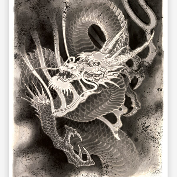 By Sailor Bit, The Dragon Project