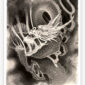 By Sailor Bit, The Dragon Project