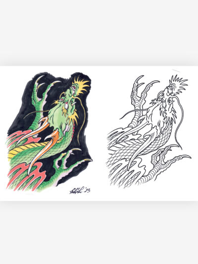 100 Dragons by Filip Leu