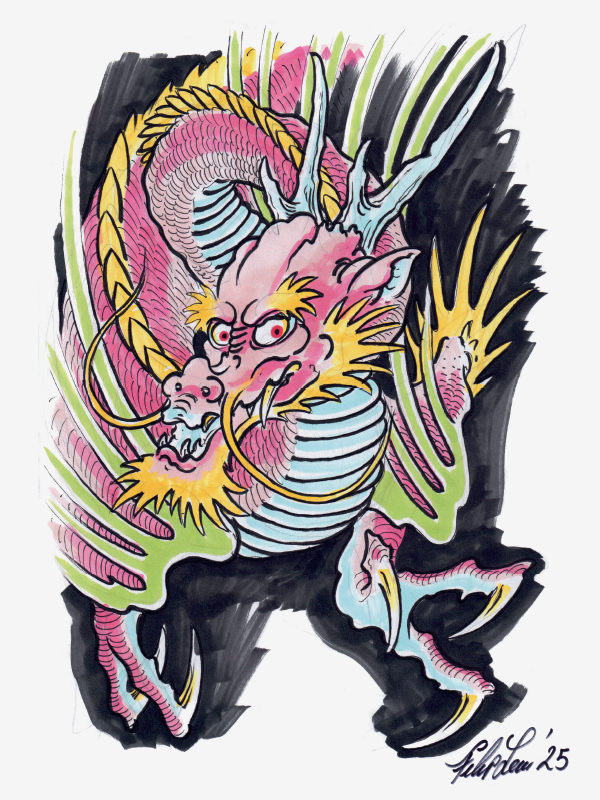 100 Dragons by Filip Leu