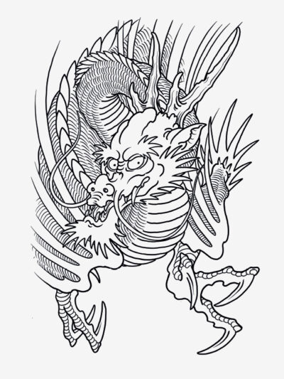 100 Dragons by Filip Leu