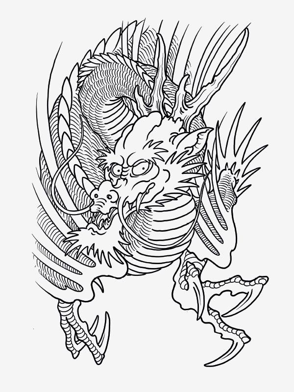 100 Dragons by Filip Leu