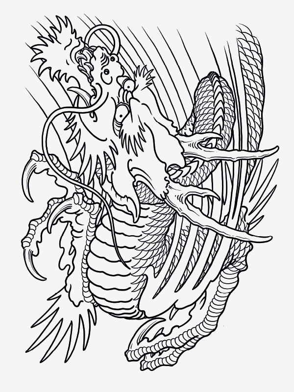 100 Dragons by Filip Leu