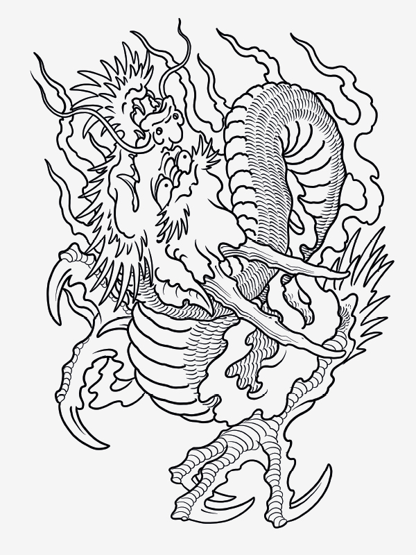 100 Dragons by Filip Leu