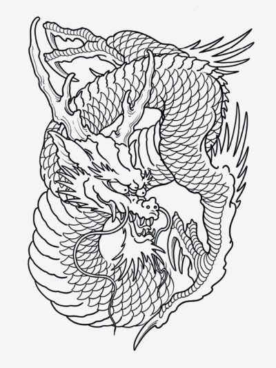 100 Dragons by Filip Leu