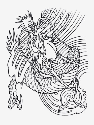 100 Dragons by Filip Leu